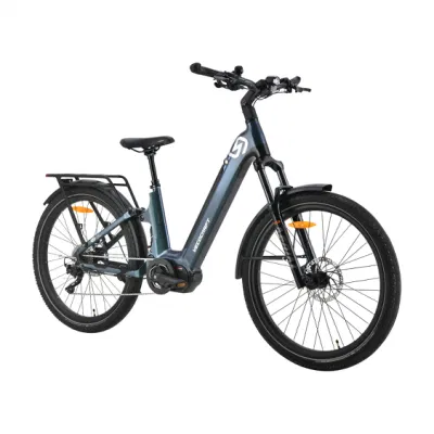 Artemis MID-Motor 27.5&quot; 48W 250 Вт ЖК дисплей электрический SUV E-Bike