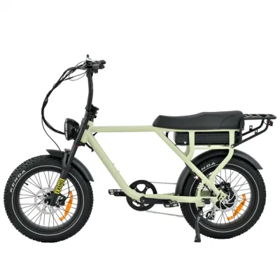 Завод в Китае, 750 Вт, 1000 Вт, с задним приводом, Fast Electric Mountain Велосипед Surron ретро Fat Ebike