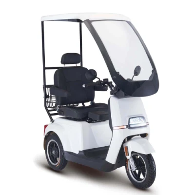 Cargo Bike Такси 3 колесо для Tuk Rickshaw Scooter Взрослый 2000 Вт автомобиль Velo взрослые запчасти мотоцикл электрический комплект электрический трехколесный