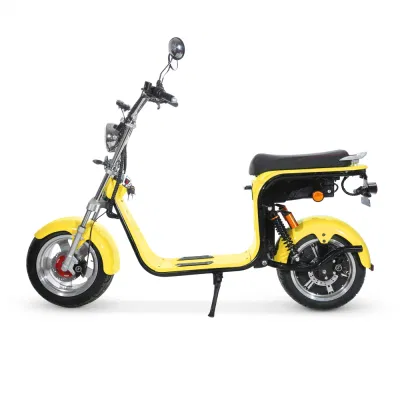 CF-2.0 электродвигателя цикла 1500W/2000W12ah/20AH Coc CE