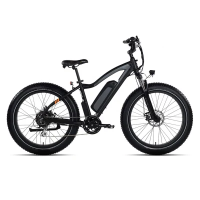 750V 48V шины электрической Ebike жира с14ah литиевая батарея рамы из алюминиевого сплава