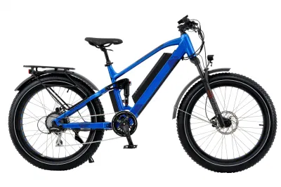 26дюймов, 27.5&quot;, 48V 500 Вт, 750 Вт/1000W Bafang задний Бесщеточный двигатель горный велосипед с электроприводом