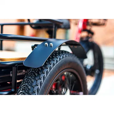 Сборные заводы США, 750 Вт, велосипед Cargo Turkey Electric Trike Big Мотоцикл с задней корзиной 3 колеса E Trike