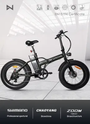 E-скутер 25км/ч экономичной цене жир шины велосипеда с электроприводом