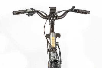 Горячие популярные электрический велосипед Pedelec Man Леди города Ebike
