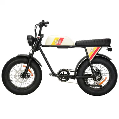 Литиевая батарея 48 в 20 а/ч, эбик, 750 Вт, Bafang Motor, 20&quot; FAT Шины для велосипеда с электроприводом