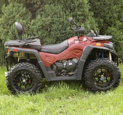 Газ ATV 800cc 1000cc ATV 4-тактный грязь на велосипеде
