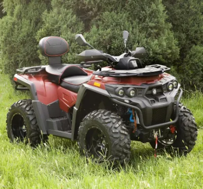 Газ ATV 800cc 1000cc ATV 4-тактный грязь на велосипеде