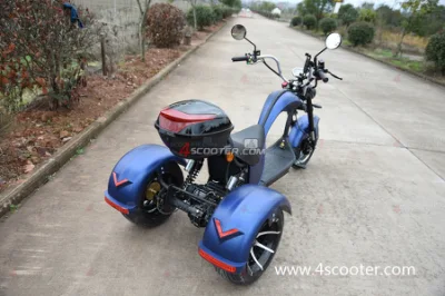 Электромоторик EEC&amp;COC 1500W-3000W 18in Tire Citycoco Electric Scooter