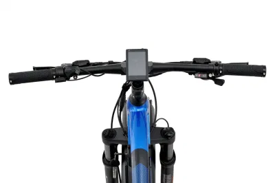 26дюймов, 27.5&quot;, 48V 500 Вт, 750 Вт/1000W Bafang задний Бесщеточный двигатель горный велосипед с электроприводом