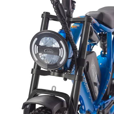 EU Factory High Power Adult Hybrid Mountain Ebike 20 Wheel Электрический городской велосипед