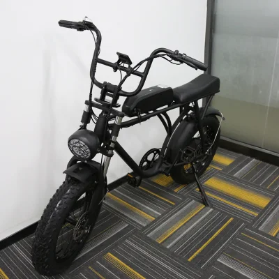 Европе электрический жир Bike 750 Вт алюминиевая рама для 20-дюймовый электрический жир велосипедов для людей всех возрастов