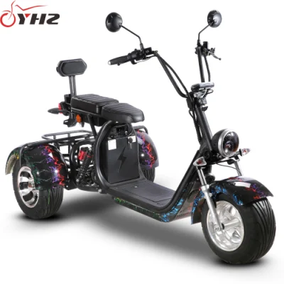 US Warehouse Delivery to Door Electric Scooter 2000W Трехколесный велосипед EEC, ТОЧКА