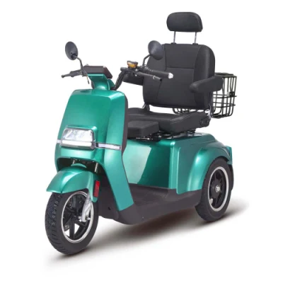 Cargo Bike Такси 3 колесо для Tuk Rickshaw Scooter Взрослый 2000 Вт автомобиль Velo взрослые запчасти мотоцикл электрический комплект электрический трехколесный