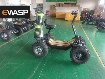 6000 Вт, 8000 Вт, 10000 Вт, 4 колеса, вождение, Adult Electric ATV 4X4 Quad Велосипед