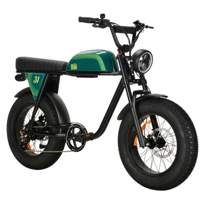 Электрический Minimoto 50-100км жир Ebike 750W 48V два скутера Pedalec Ebike аккумуляторной батареи