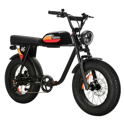 Электрический Minimoto 50-100км жир Ebike 750W 48V два скутера Pedalec Ebike аккумуляторной батареи