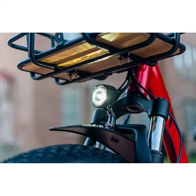 Сборные заводы США, 750 Вт, велосипед Cargo Turkey Electric Trike Big Мотоцикл с задней корзиной 3 колеса E Trike