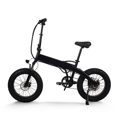 Cruiser High Speed Three Wheel EU City USA Warehouse Взрослый Квадроцикл Enduro Conversion Dirt Motor Women 20 дюйма Электрический велосипед