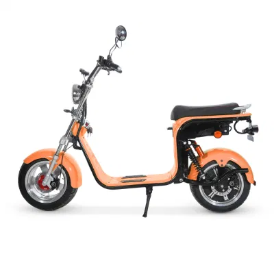 CF-2.0 электродвигателя цикла 1500W/2000W12ah/20AH Coc CE