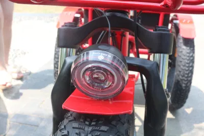 Электрический Trike инвалидных колясках 48V 500 W 24 дюйма 20дюйма мотоцикл электрический скутер велосипед электрический 3 Колеса велосипеда для взрослых электрический инвалидных колясках