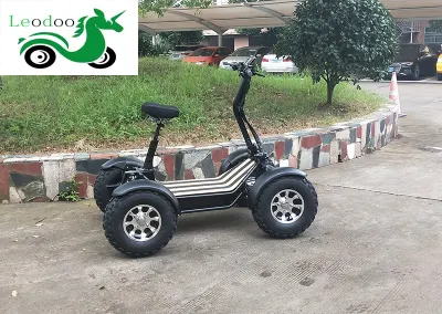 6000 Вт, 8000 Вт, 10000 Вт, 4 колеса, вождение, Adult Electric ATV 4X4 Quad Велосипед