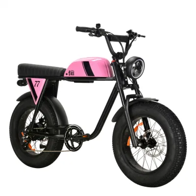 Электрический Minimoto 50-100км жир Ebike 750W 48V два скутера Pedalec Ebike аккумуляторной батареи
