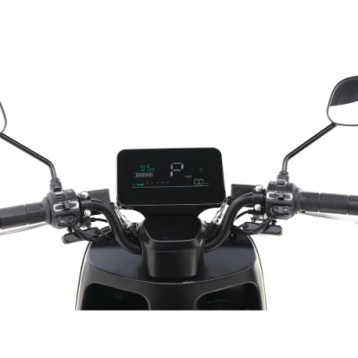 EEC Electric Motorcycle Motorbike S30 Plus
