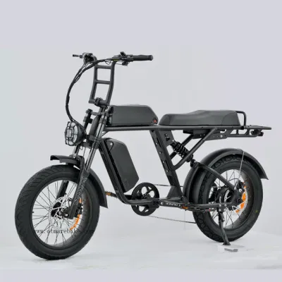 Оптовые OEM Big Power 1000 Вт Mountain Electric Bike Adult FAT Шинопляжный круиз на велосипеде