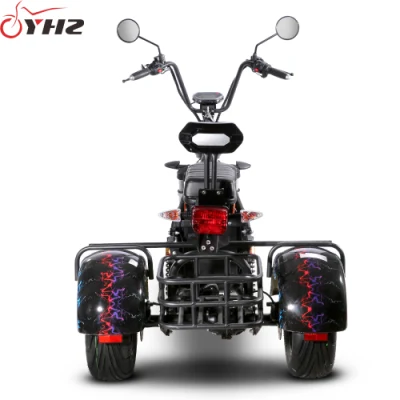 US Warehouse Delivery to Door Electric Scooter 2000W Трехколесный велосипед EEC, ТОЧКА