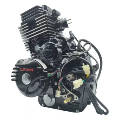 Для двигателей Bajaj Motorcycle 4-тактный двигатель водяного охлаждения Lifan Wolf 300cc Двигатель