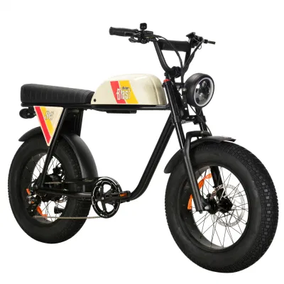 Электрический Minimoto 50-100км жир Ebike 750W 48V два скутера Pedalec Ebike аккумуляторной батареи
