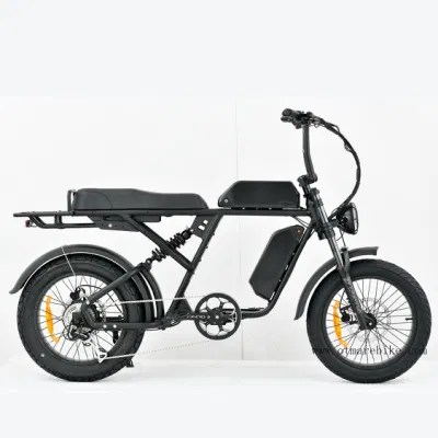 Оптовые OEM Big Power 1000 Вт Mountain Electric Bike Adult FAT Шинопляжный круиз на велосипеде