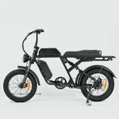 Оптовые OEM Big Power 1000 Вт Mountain Electric Bike Adult FAT Шинопляжный круиз на велосипеде