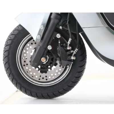 EEC Electric Motorcycle Motorbike S30 Plus