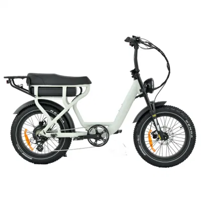 Новая конструкция FAT Tire Road Full Suspension Fast 1000W Retro Винтажный мотоцикл