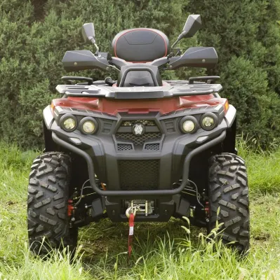 Газ ATV 800cc 1000cc ATV 4-тактный грязь на велосипеде