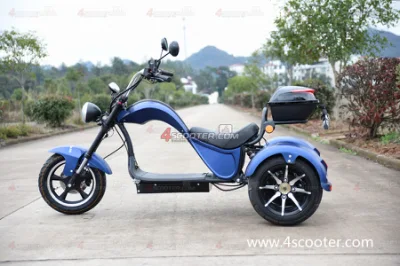 Электромоторик EEC&amp;COC 1500W-3000W 18in Tire Citycoco Electric Scooter