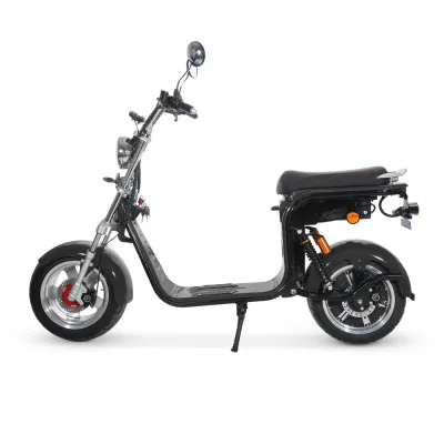 CF-2.0 электродвигателя цикла 1500W/2000W12ah/20AH Coc CE