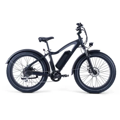 750V 48V шины электрической Ebike жира с14ah литиевая батарея рамы из алюминиевого сплава