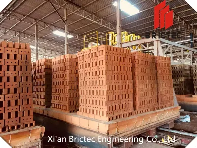 Автоматическая Brictec глиняные производстве кирпича с туннеля осушителя