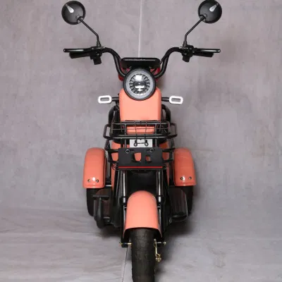 Тук Mobile кофе Bike Elektric скутер Автоматическая Тележки моторные трехколесные мотоциклы Холодильник электрический инвалидных колясках