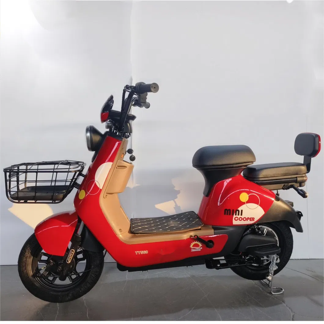 Willstar The Latest Electric Bike Ty568 with Chilwee Lead-Acid Battery Excellence Performance and Reliable and Durable Quality