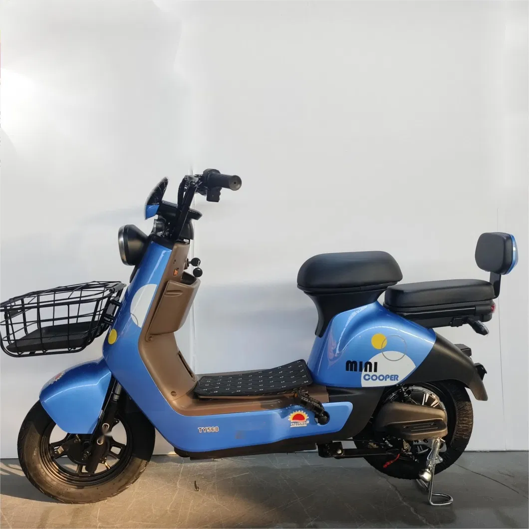 Willstar The Latest Electric Bike Ty568 with Chilwee Lead-Acid Battery Excellence Performance and Reliable and Durable Quality