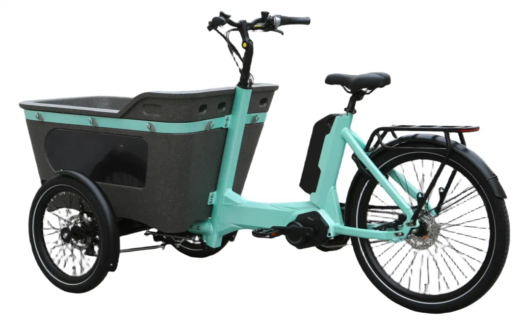 48V250W Cargo Electric Cargo Tricycle Electric Bike for Family with CE