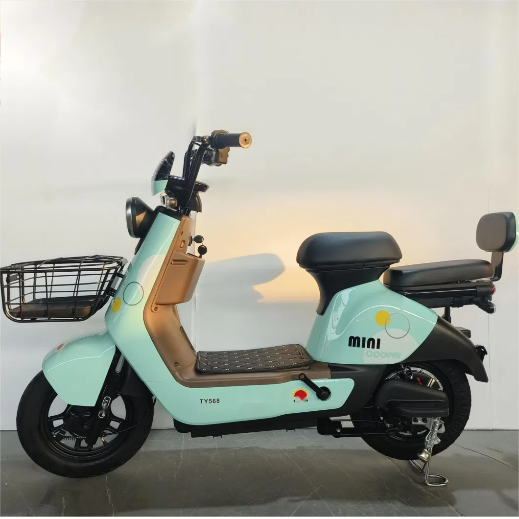 Willstar The Latest Electric Bike Ty568 with Chilwee Lead-Acid Battery Excellence Performance and Reliable and Durable Quality