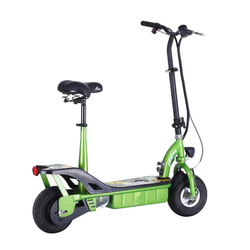 Popular Design 10&quot; Foldable Electric Scooter E-Bike with 24V 9ah 2021 New