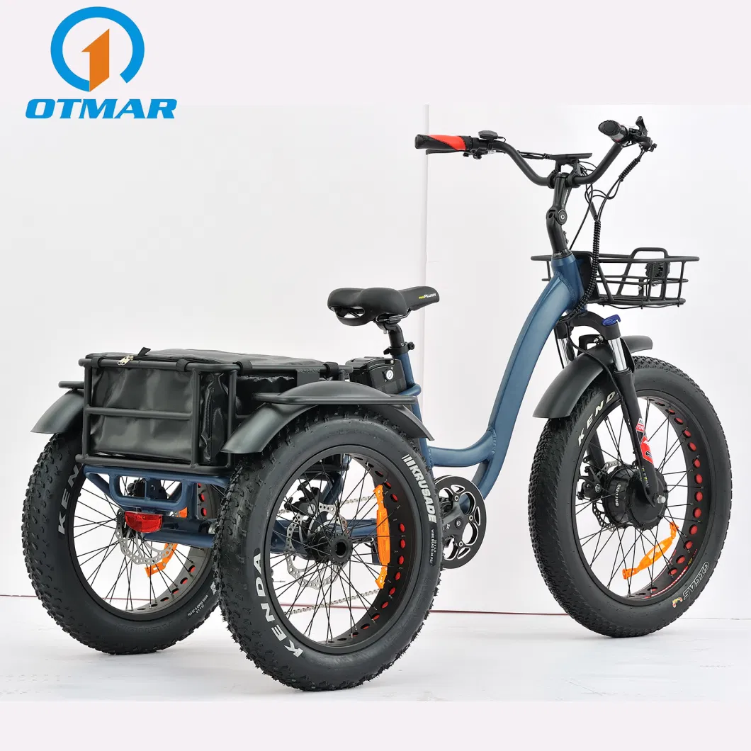 Factory Direct Sales 24 Inch Front Drive 750W Cargo 3 Wheel Electric Bike Trike