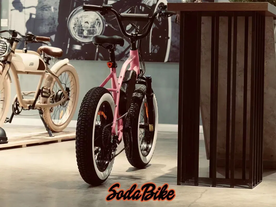 2023 Cute Ebik for Fun 48V Removable Lithium Battery Electric Bike