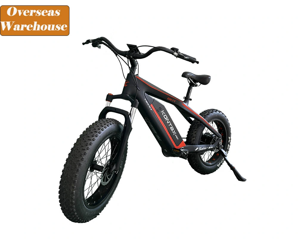 China Manufacturer Electronic Bikes 750W/1000W Carbon Fiber Fat Tire Electric Bike Mountain Electric Bicycle Cycle